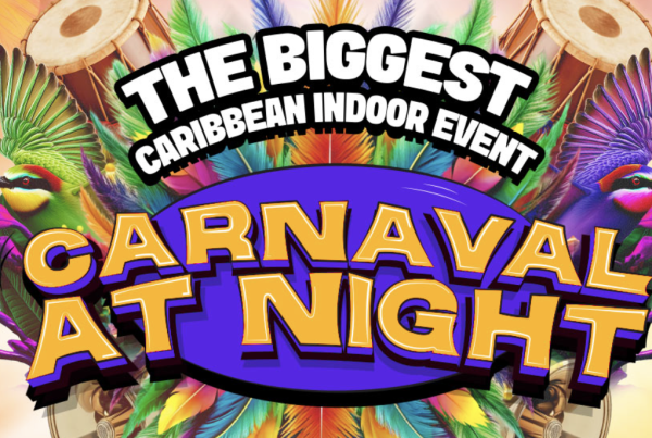 Zomercarnaval carnaval at night maassilo zomer feest